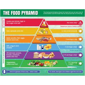 Above All Advertising Healthy Food Pyramid Chart | Diet and Nutrition Education Posters for Kids and Childrens | Food Stickers for Kids (11" x 17")