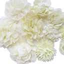 YYCRAFT 15pcs Ivory Chiffon Flower for Girls Headband Baby Flowers Bows, Crafts, Party Decoration (2"-4.5")