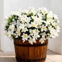 6 Bundles Artificial Faux Spring Flowers for Outdoor, Faux Azalea with Leaves Fake Plants Silk UV Resistant Realistic Artificial Flowers Bulk for Planter Garden Porch Home Decor(White)
