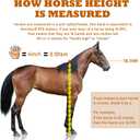Horse Measuring Stick, Horse Height Pole, Accurately Measure The Height of Horse, Measurable (18 Hands or Less) Horses