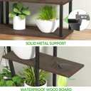 Plant Stand Shelf Indoor with 6 Grow Light, 7 Tiered 65" Tall Black Large Half Moon Lighted Plant Rack Holder, 2 Pack Big High Circular Arch Multi Herb Stand with Built in LED Grow Light Set