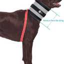 BiteNot Collar, 7" W x 28" L