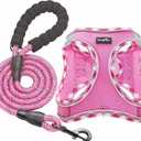 haapaw Dog Harness with Leash Set, No Pull Adjustable Reflective Step-in Puppy Harness with Thickened Padded Vest for Extra-Small/Small Medium Dogs M