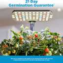 AeroGarden Harvest Lite in Black, Soil-Free Indoor Hydroponic Garden with LED Grow Light for Year-Round Gardening of up to 6 Herbs and Vegetables