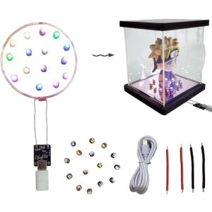 Mini LED Lights 80mm Long Distance Coil Induction Light and 12PCS Colorful High Brightness Auto Induction Lights for Art & Craft Kits Add Life Fun