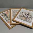 Fantasy Artists Framed Colorful Wall Art Set of 3 Impressionism Henri Matisse Van Gogh William Morris Flower Botanical Abstract Artwork Prints for Living Room Bedroom Bathroom 12" x 16"