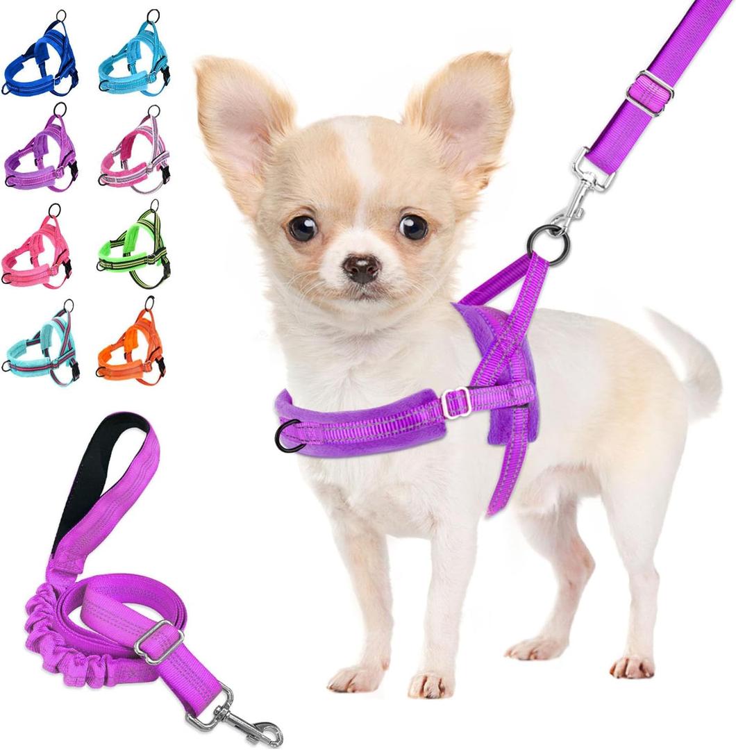 Lukovee No Pull Dog Harness and Leash Set, Soft Padded Small Dog Harness, Neck & Chest Adjustable Reflective Vest Puppy Harness with 4ft Lightweight Anti-Twist Dog Leash for Small Dogs (XS, Purple)