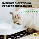 MalsiPree Elevated Dog Bowls - Puppy Adoption Gifts & Cute Puppy Accessories - 45 Tilt Feeding Station with Ceramic Dishes - Food and Bowls Set - Dog Birthday Gifts for Small Pets - Sand Beige
