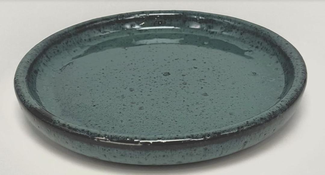 2 Pack Dark Green Ceramic 8 Inch Round Saucer, Plant Tray for Indoor Pots, Flower Plant Saucers, Dishes for Plants, Deep Plant Water Tray, Bird Bath Bowl, Holding Water Drips & Soil, Drainage Tray