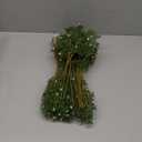 Lyrow 24 Pcs Christmas Artificial Juniper Cedar Branches Picks Spray with Berry Faux Greenery Spray Branches Cedar Twig Stems for Holiday Winter Ornament Crafts Wreath Garland (Natural Style)