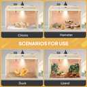 Chicken Brooder Box Chick Starter Kit Portable Chicken Coop with UVB Lamp Thermometer Brooder Box for Chicks Ducks Quails Hamsters Lizards and Small Animals