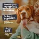 Paws&Fun Dogs Supplement Multivitamin + Glucosamine for Hip & Joint + Probiotics for Digestion + Omega 3 Salmond Oil for Skin and Coat; 10 in 1 Chews (Peanut Butter 120ct), Best By April 2026 