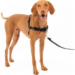 PetSafe Easy Walk No-Pull Dog Harness - The Ultimate Harness to Help Stop Pulling - Take Control & Teach Better Leash Manners - Helps Prevent Pets Pulling on Walks, Medium, Black/Silver