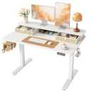 TIQLAB Standing Desk with Two Drawers, Stand Up Standing Desk Adjustable Height, Electric Sit Stand Table with Storage Shelf and Splice Board, 48 * 24 inch, White Wicker