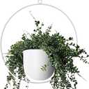 Hanging Planter Indoor Modern Boho Plant Pot Metal Wall and Ceiling Plant Holder Mid Century Minimalist Flower Pot for Hanging Plants, White (1PC)