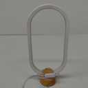 LED Modern Style Oval Light