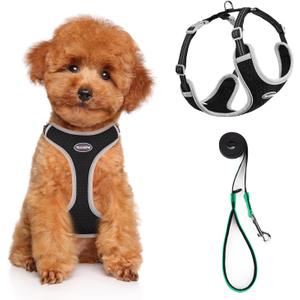 ThinkPet Harness and Leash Set Reflective Breathable Soft Air Mesh No Pull Puppy Choke Free Over Head Vest Ventilation Harness with Leash for Puppy Small Medium Dogs and Cats