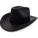 Costume Cowboy and Cowgirl Felt Hats