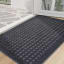 BEQHAUSE Dog Door Mats for Muddy Paws 32"x48", Absorbent and Dirt Trapper Doormat Indoor Floor Mats Non-Slip Washable Rugs for Entryway, Welcome Mat for Front Back Door, Muddy Wet Shoes, Dark Grey