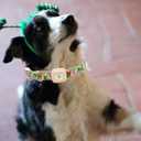 2 x Elegant Little Tail Airtag Dog Collar, St Patrick's Holiday Collar With Holder, Cute Adjustable Puppy Collar for Large Dogs (Large (Pack of 1), Rainbow Lucky Clover)