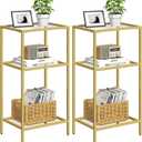 Side Tables Set of 2, Tempered Glass End Table with Metal Frame, 3-Tier Small Nightstands with Storage Shelves,Tall Table Stand for Home Decor, Living Room, Bedroom, Office, Gold2 Pack