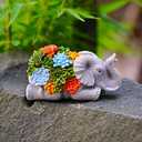 Elephant Key Hider & Jewelry Box - Cute Succulent Elephant Hide a Key Outdoor Ornament - Small Gift Box for Women, Home Decor & Elephant Gifts
