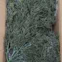 2Pack Artificial Topiary Trees, 2FT Faux Cypress, Faux Evergreen Pine Shrubs Plants with Pot, Potted Plants for Front Porch Indoor Outdoor Garden Christmas Decor