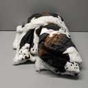 Heated Blanket Throw Blanket - Fast Heating Electric Blanket, Soft Flannel Heated Throw with 10 Time Settings,10 Heating Settings, Warm Gifts for Women & Mom & Grandma(50"x60"Cow Print White) (01 - Black Ombre-white)