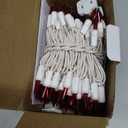 TW SHINE Christmas String Lights, 20FT 100 Count Incandescent White Wire Christmas Mini Lights, Waterproof Xmas String Lights for Outdoor Indoor Home Party Yard Decorations, Red