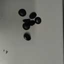 GEMSENBOFU 16Pcs Black Rubber Aquarium Suction Cups, Fish Tank Accessories for Pump, Line, Aeration Setup