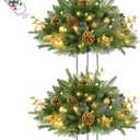 2 Pack 24 Inch Lighted Outdoor Christmas Tree with Dual Color LED Lights, Remote Control Battery Operated Pre-lit Pathway Urn Filler, Christmas Porch Decorations for Home, Porch & Yard (Green Gold)