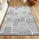 SHACOS Soft Cozy Fluffy Arch Pattern High Low Pile Rugs 3'x5' Non Slip Washable Scandinavian Minimalist Rug Modern Geometric Arc Carpet for Living Room Bedroom Dining Room, Black/White