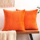 Throw Pillow Covers Decorative Velvet Set of 2 16x16 Inch Pillow Covers, Soft Burnt Orange Pillowcases for Couch Sofa Bed Living Room, Farmhouse Boho Decor, Accent Cushion Covers