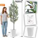 Aveyas 7ft Artificial Olive Tree for Home Decor, 7 Feet Large Faux Plant Fake Skinny Silk Trees with Pot for Indoor Outdoor House Living Room Office (7 ft Tall Including Raised Pot)