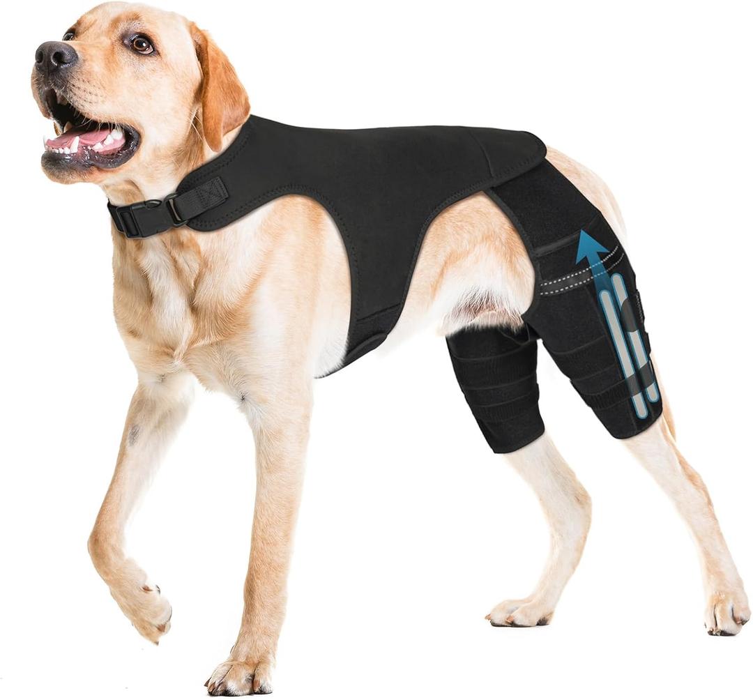 Dog Knee Brace for Hind Leg  Adjustable Dog Rear Leg Support Brace with 4 Metal Stabilizers, Helps with Torn CCL, Luxating Patella, Ligament Injuries, Hip Dysplasia,XXL