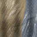 Delta Children Cozee Buddy Dog Chair, Beige