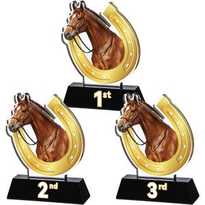 Kenning 3 Pcs Derby Day Horsing Trophies 1st 2nd 3rd Racing Award Cup 4.8" Acrylic Horseshoe Table Centerpieces Gold Riding Prize Party Gift for Adult Tournament Match Sport Team Competition