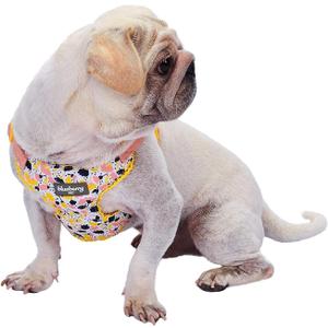 Blueberry Pet Soft & Comfy Made Well Blooming Floral No Pull Mesh Dog Harness Vest in Creamy White, Chest Girth 17.5"-21", Small, Adjustable Harnesses for Dogs