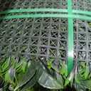 ODTORY Artificial Boxwood Panels: 20"x20" 12P(33.5 sqft) Green Decor