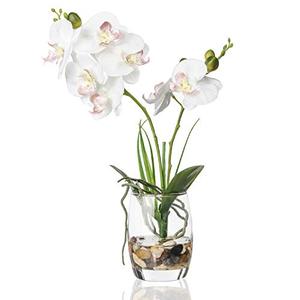 Jusdreen 1 Pcs Glass Vase Artificial Orchid Flower Bonsai Vivid Phalaenopsis Flowers Potting for Home Office Décor,Table Centerpiece Room Decorations 14.5 INCH (Glass Vase/White Orchid)