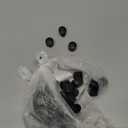 Kisangel 20pcs Universal Foosball End Caps for Table Soccer Machine Sturdy Plastic Rod Caps Sturdy Design for Standard Foosball Tables (1.60X1.60X0.80CM)