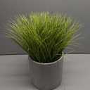 Summer Lifestyle Greenery Decorative Plant, 8"