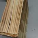 Bonsai Tree Starter Kit for Beginners - Indoor Live Plant Gardening Adult Craft DIY Kits - Unique Christmas, Birthday, White Elephant Gifts for Women, Men & Kids