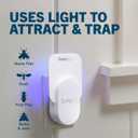 Safer Home Indoor Plug-in Fly Trap - SH502-2SR - Effective Fruit Fly Traps for Indoors, Gnat Traps for House Indoor, 800 Total Sq Ft Protection - 1 Device + 1 Glue Card