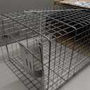 HAVAHART 1079SR Large 1-Door Humane Catch and Release Live Animal Trap Cage - Live Raccoon Trap, for Bobcats, Beavers, Dogs, & More