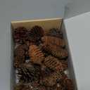40 PCS Rustic Pine Cone Decorations - Large, Medium and Mini Sizes for Table, Tree and Home Decor