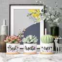 MAYICIVO Mothers Day Aunt Gifts from Niece Nephew, Best Gifts for Aunts Auntie, Unique Aunts Birthday Gift Auntie, Best Auntie Ever Succulent Pots for Plants Indoor Ceramic Planter