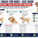 Dog Rear Knee Brace for Small & Medium Breeds, Adjustable Hind Leg Support for ACL/CCL Injury Recovery, Joint Stability, Ligament Protection & Injury Prevention (S)