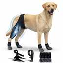 Acaine Dog Rear Leg Support Brace with Anti-Slip Socks – Adjustable for Joint Pain Relief and Recovery, Improves Mobility for Walking & Outdoor Use, Durable Black Size L (ACL Support)