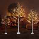 3-Pieces White Birch Tree Set, 4FT 5FT 6FT Led Lighted Twig Christmas Tree Decorations, Lighted Artificial Twig Trees, Warm Outdoor/Indoor Lighted Trees Lamp (Birch-Style)